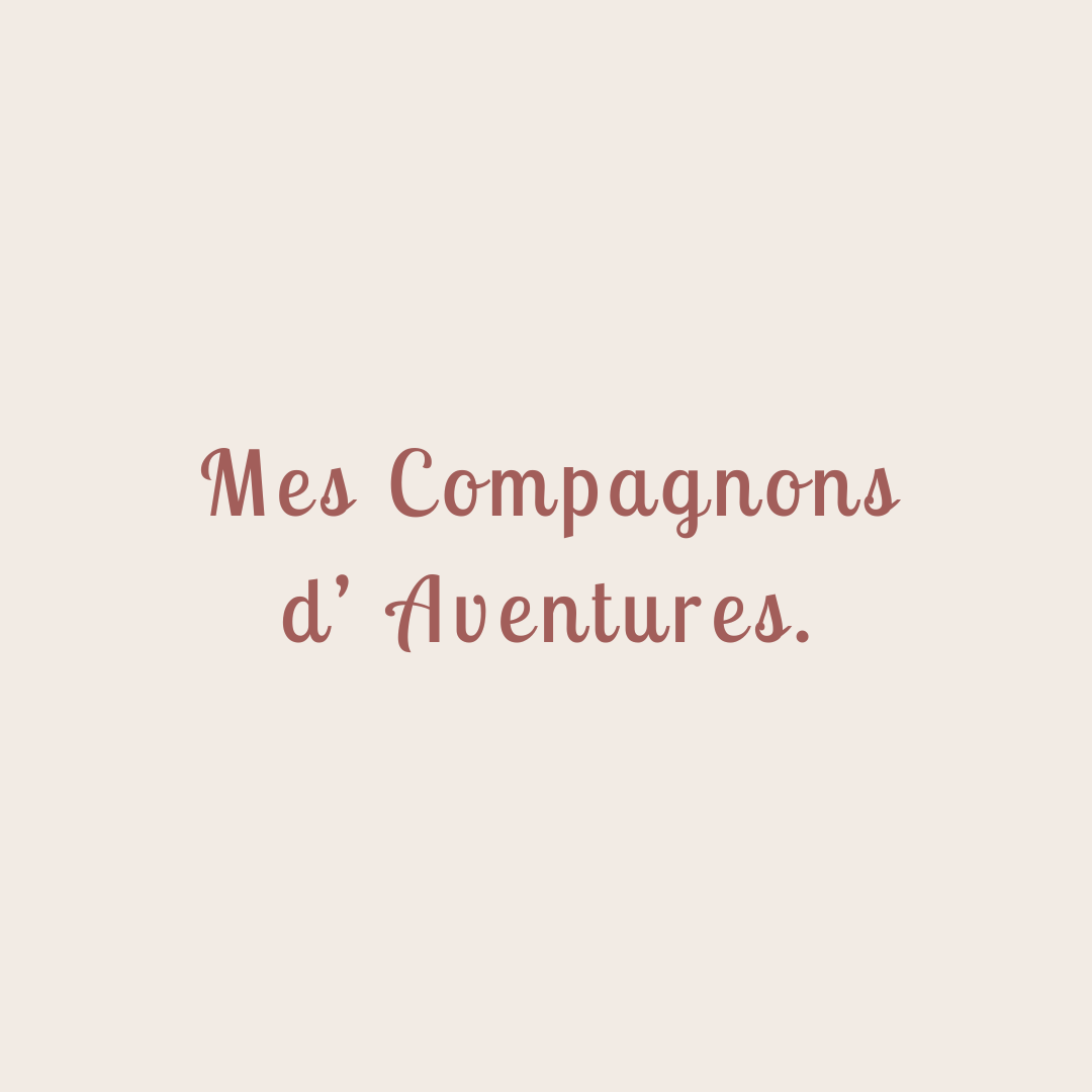 Mes Compagnons d'Aventures